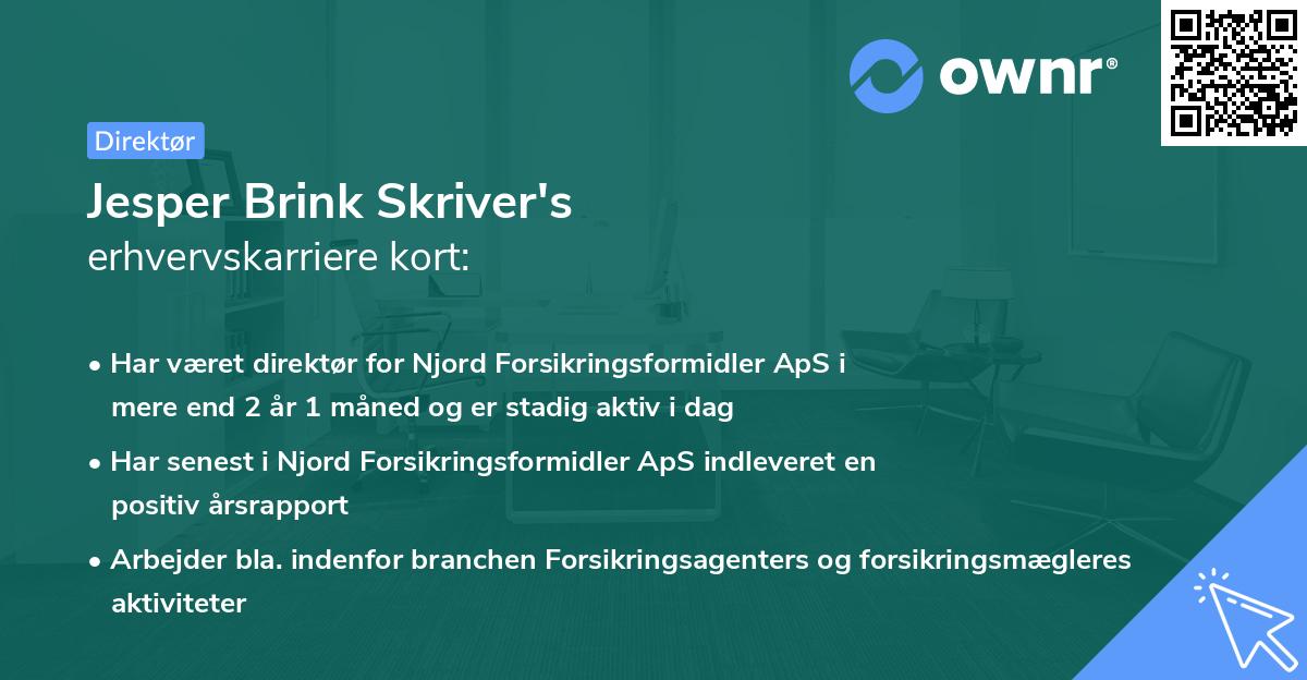 Jesper Brink Skriver's erhvervskarriere kort