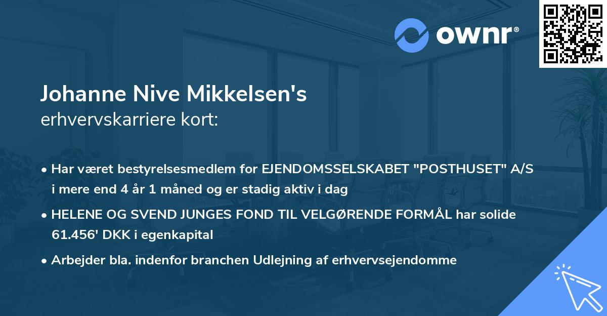 Johanne Nive Mikkelsen's erhvervskarriere kort