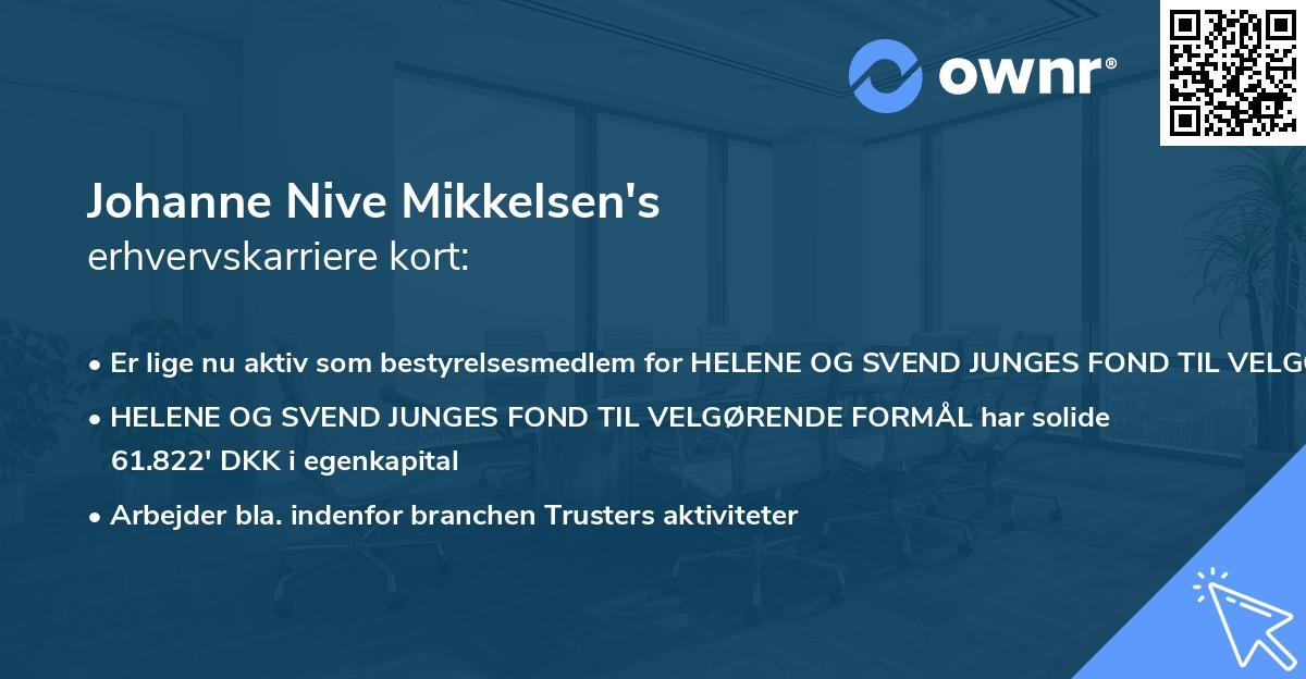 Johanne Nive Mikkelsen's erhvervskarriere kort