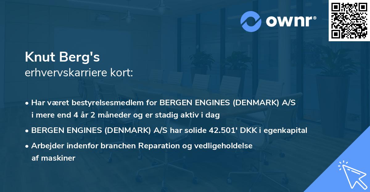 Knut Berg's erhvervskarriere kort