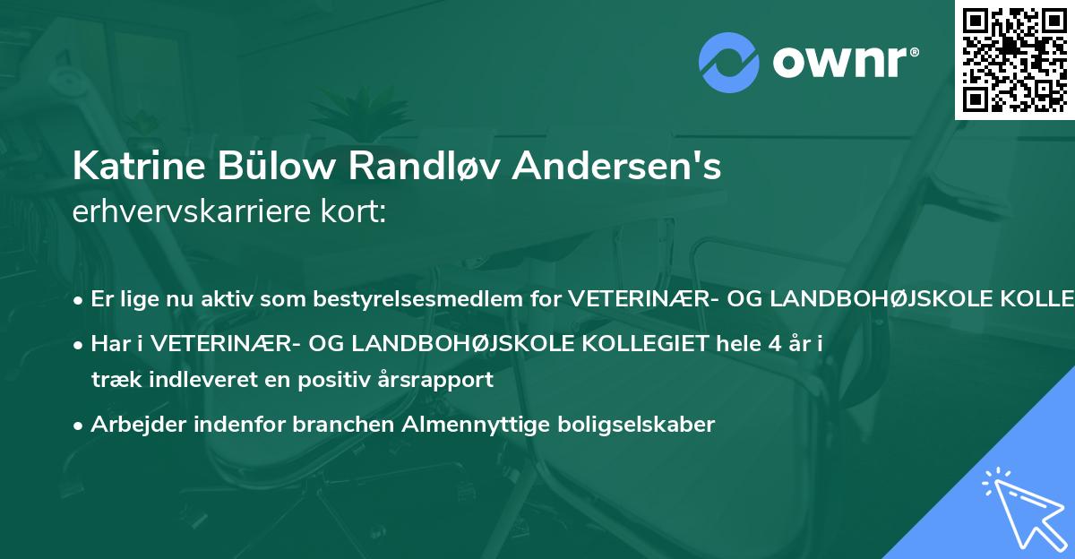 Katrine Bülow Randløv Andersen's erhvervskarriere kort