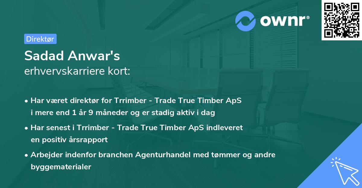 Sadad Anwar's erhvervskarriere kort