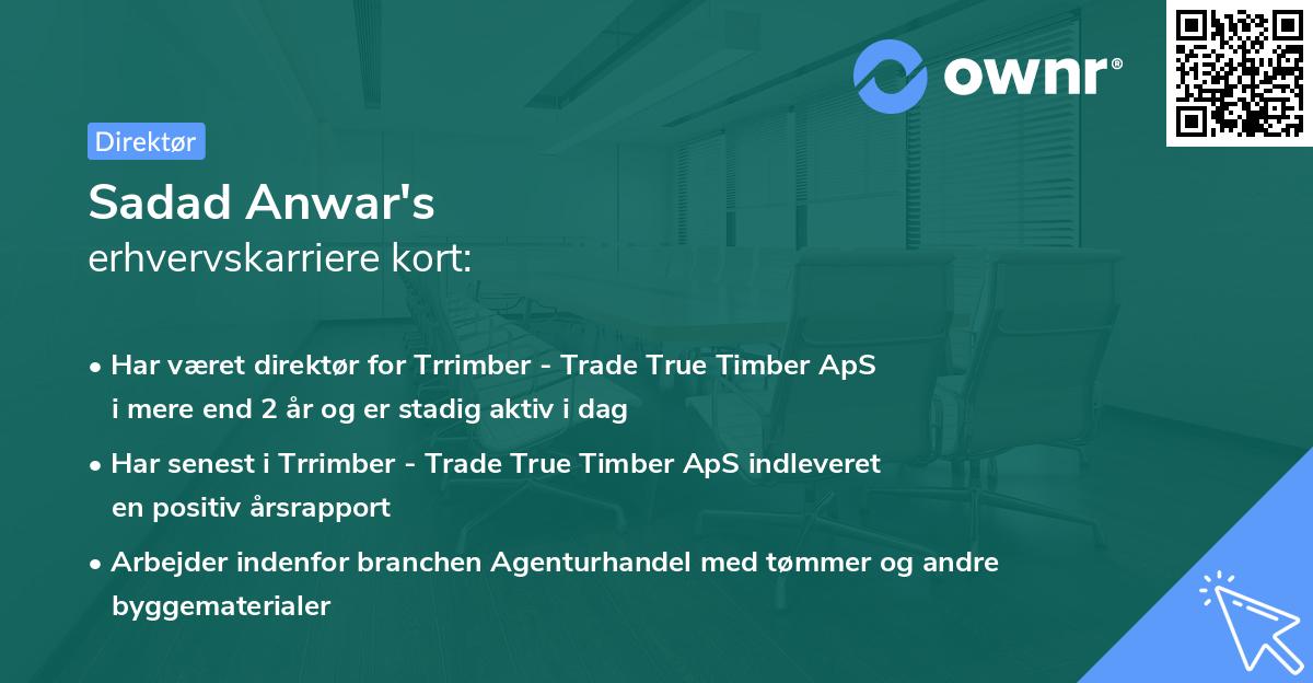 Sadad Anwar's erhvervskarriere kort