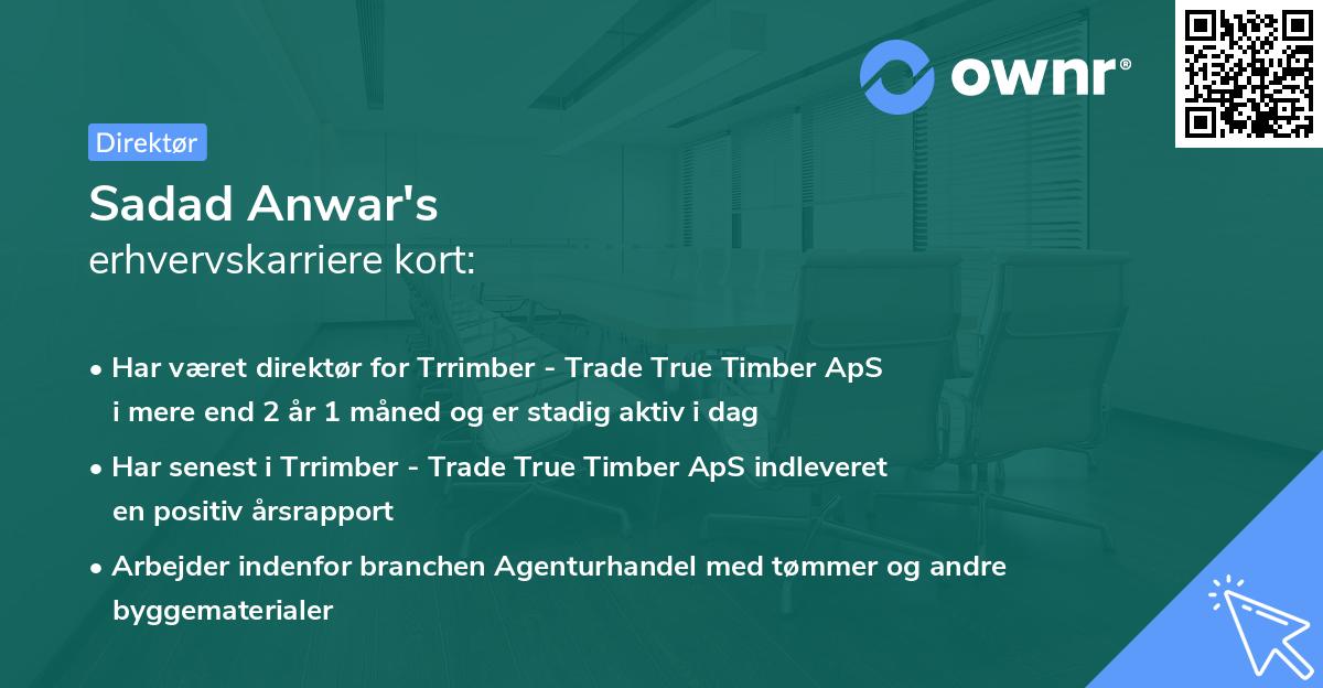Sadad Anwar's erhvervskarriere kort