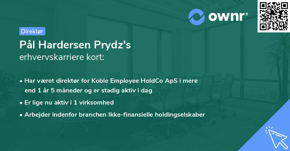 Pål Hardersen Prydz's erhvervskarriere kort