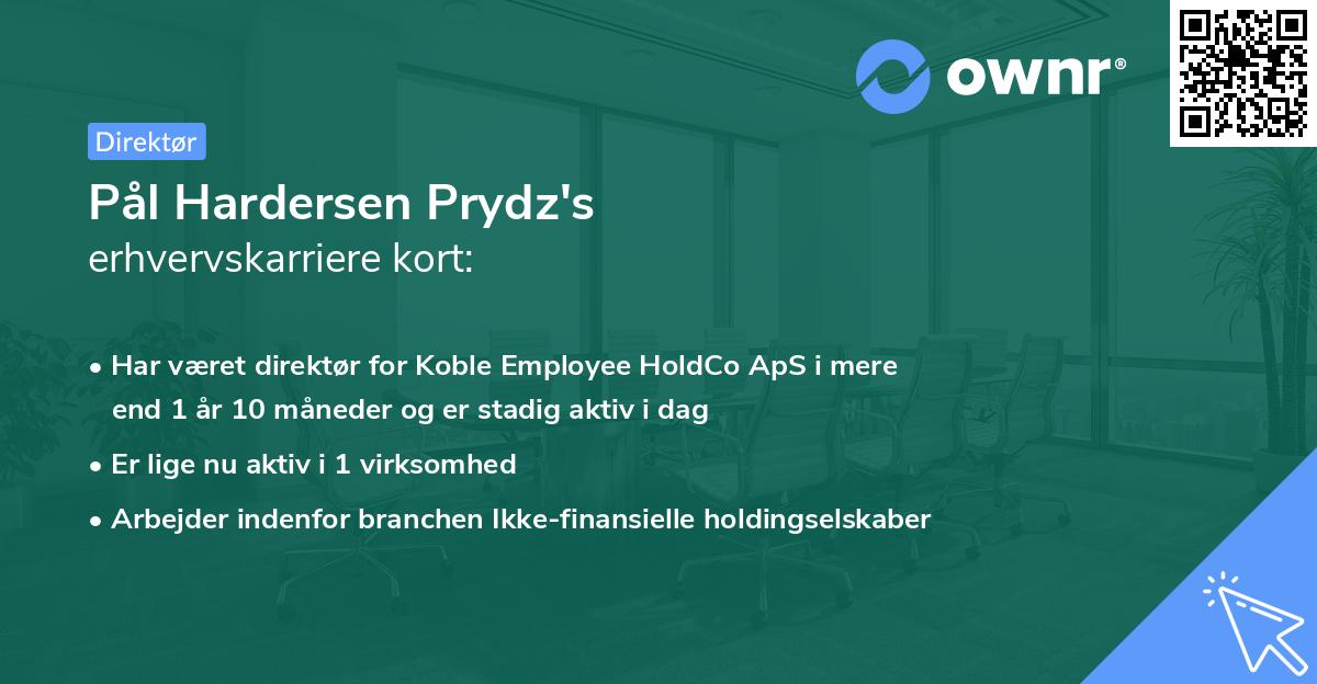 Pål Hardersen Prydz's erhvervskarriere kort
