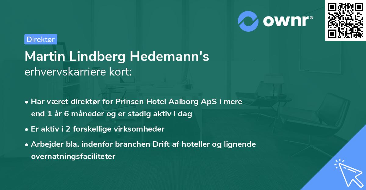 Martin Lindberg Hedemann's erhvervskarriere kort