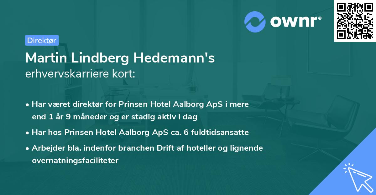 Martin Lindberg Hedemann's erhvervskarriere kort