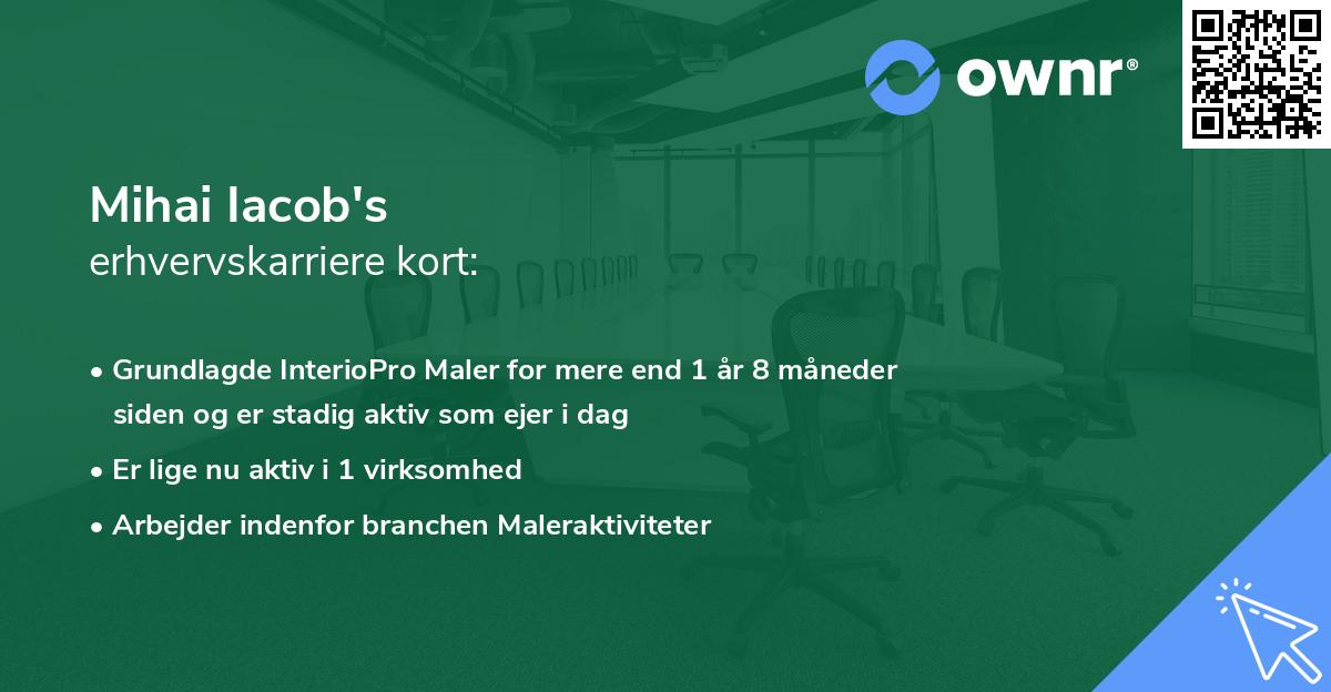 Mihai Iacob's erhvervskarriere kort