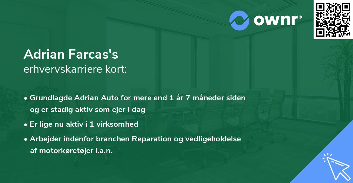 Adrian Farcas's erhvervskarriere kort