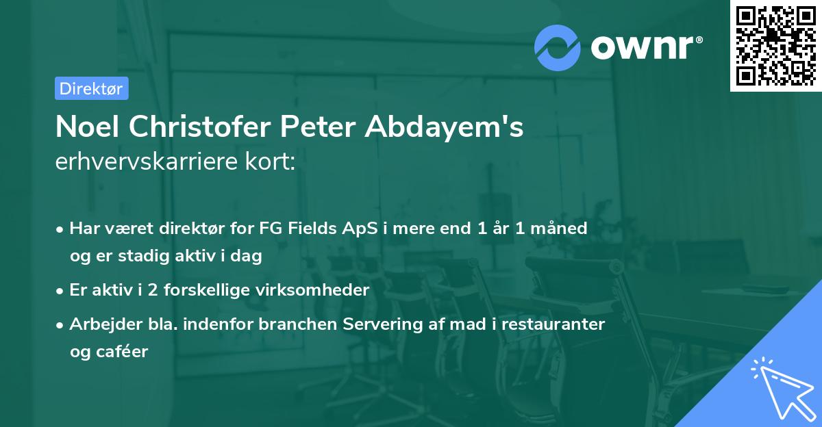 Noel Christofer Peter Abdayem's erhvervskarriere kort