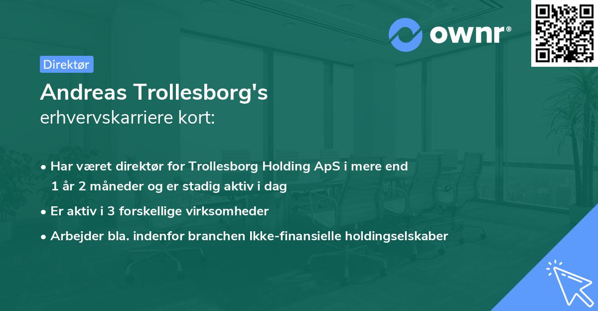 Andreas Trollesborg's erhvervskarriere kort
