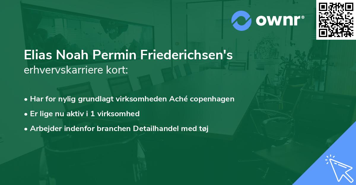 Elias Noah Permin Friederichsen's erhvervskarriere kort