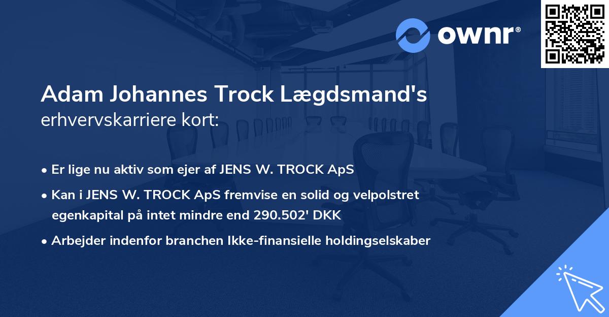 Adam Johannes Trock Lægdsmand's erhvervskarriere kort