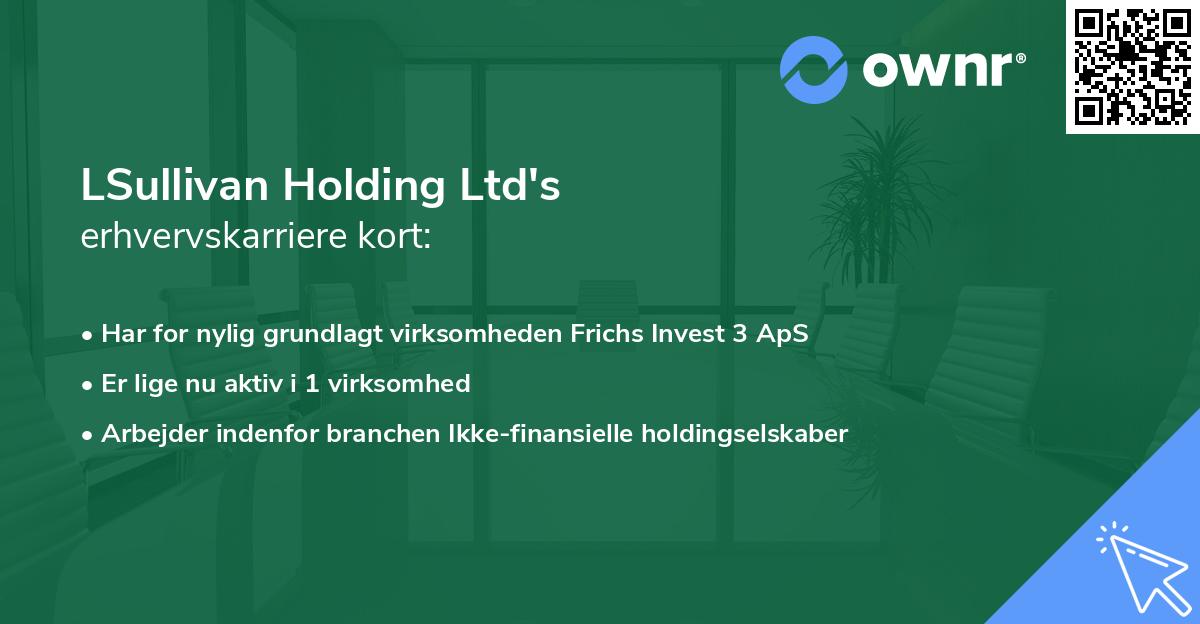 LSullivan Holding Ltd's erhvervskarriere kort