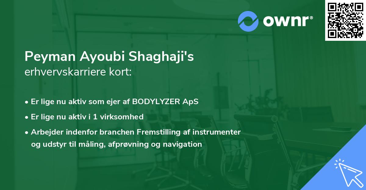 Peyman Ayoubi Shaghaji's erhvervskarriere kort