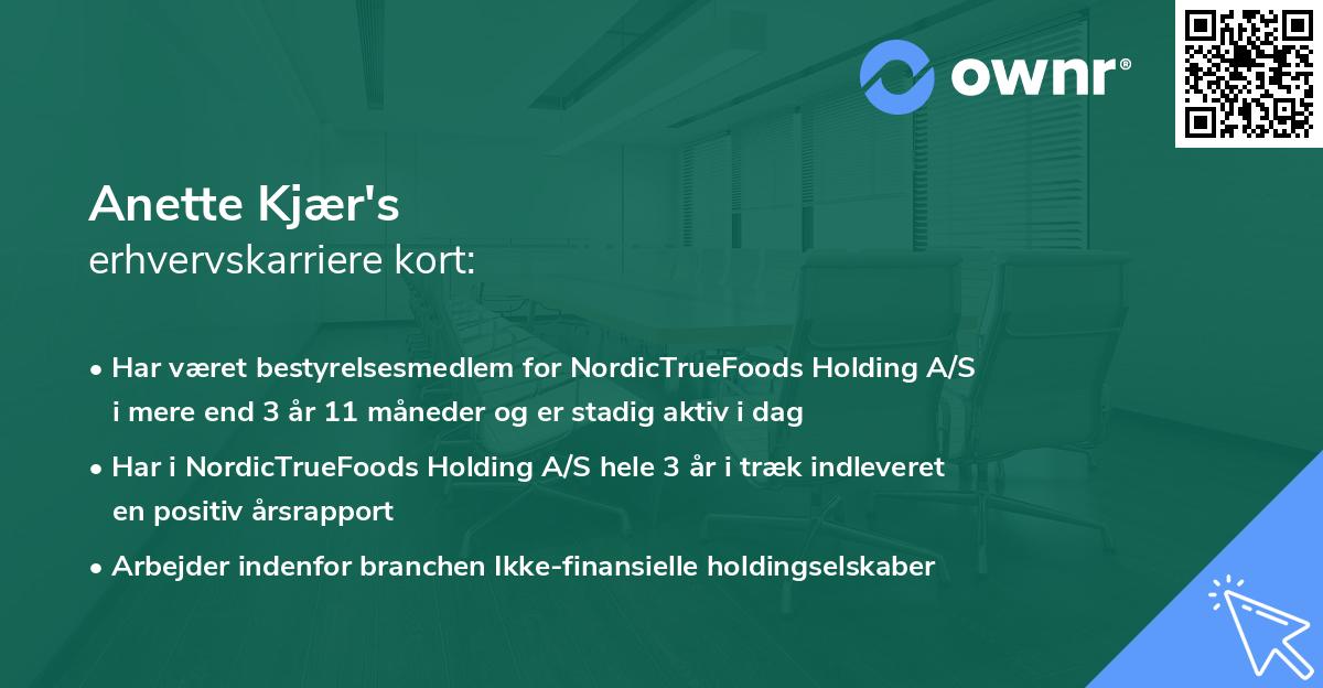 Anette Kjær's erhvervskarriere kort
