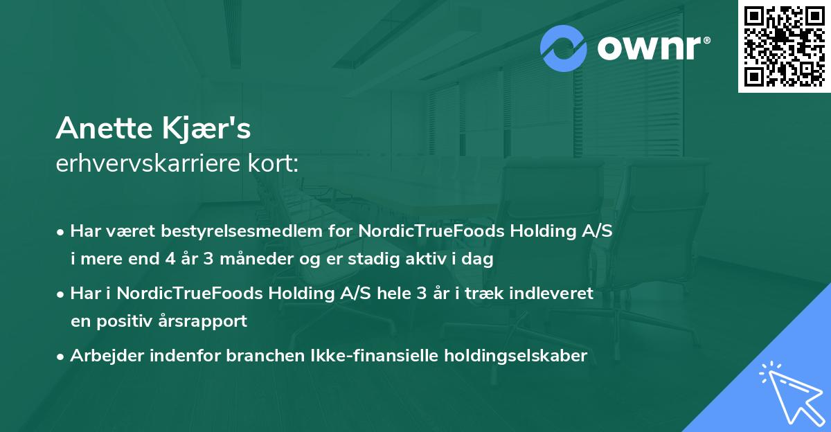 Anette Kjær's erhvervskarriere kort