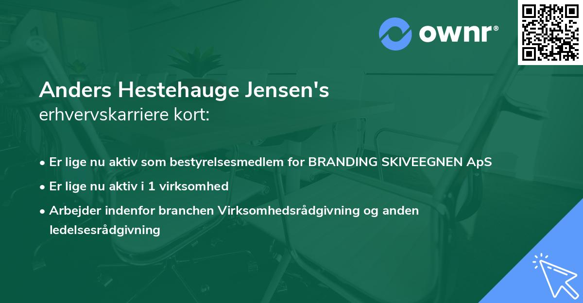 Anders Hestehauge Jensen's erhvervskarriere kort