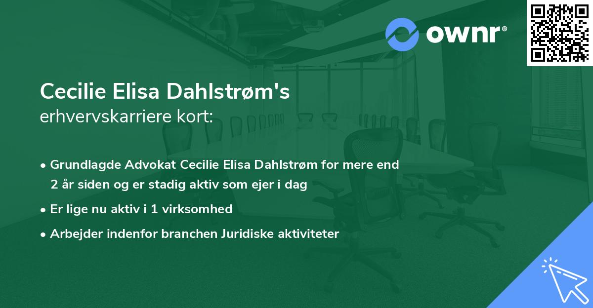Cecilie Elisa Dahlstrøm's erhvervskarriere kort