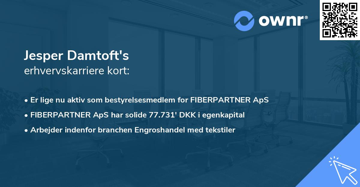 Jesper Damtoft's erhvervskarriere kort