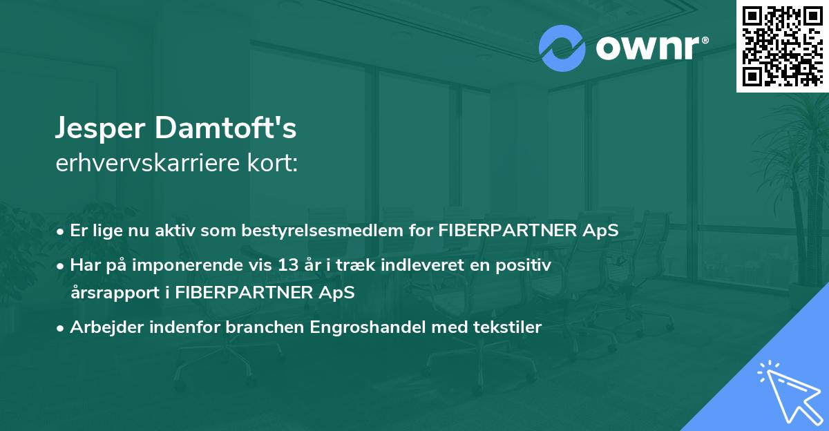 Jesper Damtoft's erhvervskarriere kort