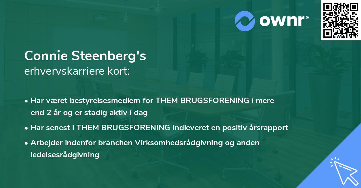 Connie Steenberg's erhvervskarriere kort