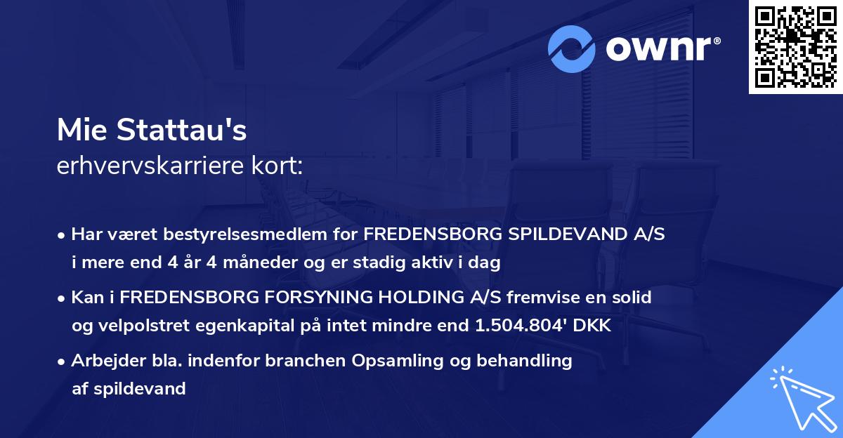 Mie Stattau's erhvervskarriere kort