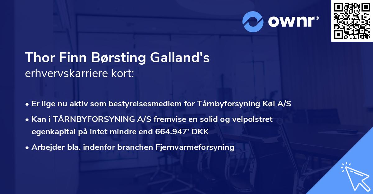 Thor Finn Børsting Galland's erhvervskarriere kort