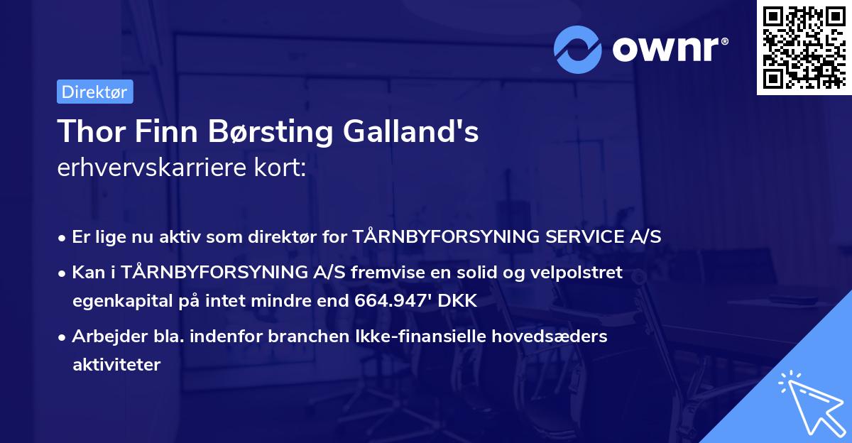 Thor Finn Børsting Galland's erhvervskarriere kort