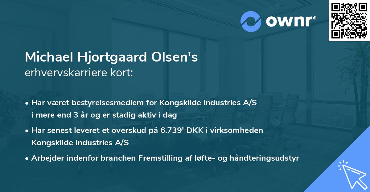 Michael Hjortgaard Olsen's erhvervskarriere kort