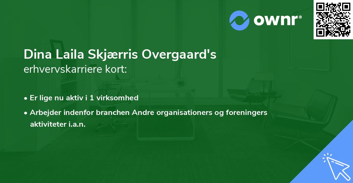Dina Laila Skjærris Overgaard's erhvervskarriere kort