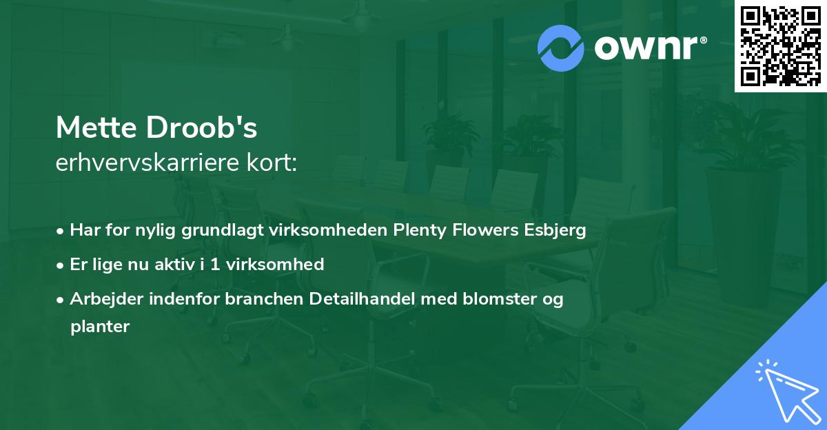 Mette Droob's erhvervskarriere kort