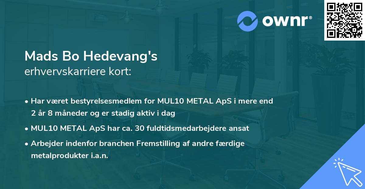 Mads Bo Hedevang's erhvervskarriere kort