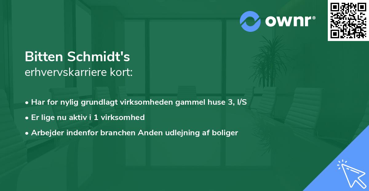 Bitten Schmidt's erhvervskarriere kort