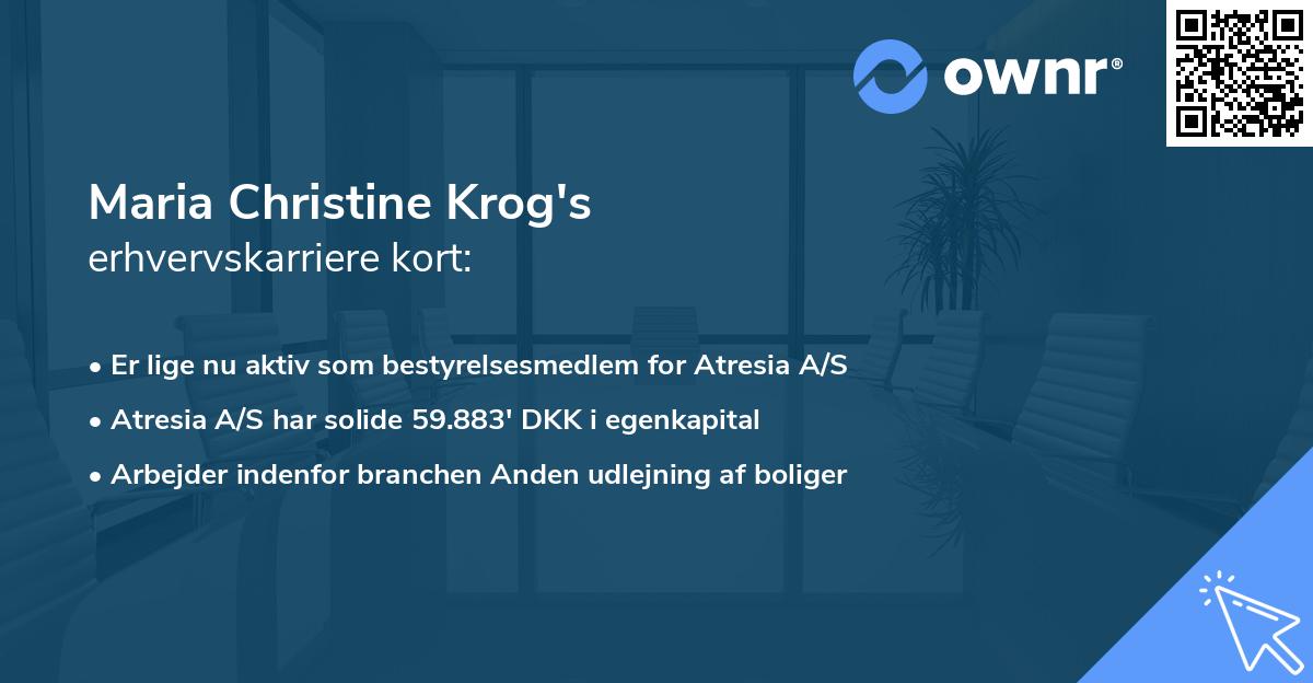Maria Christine Krog's erhvervskarriere kort