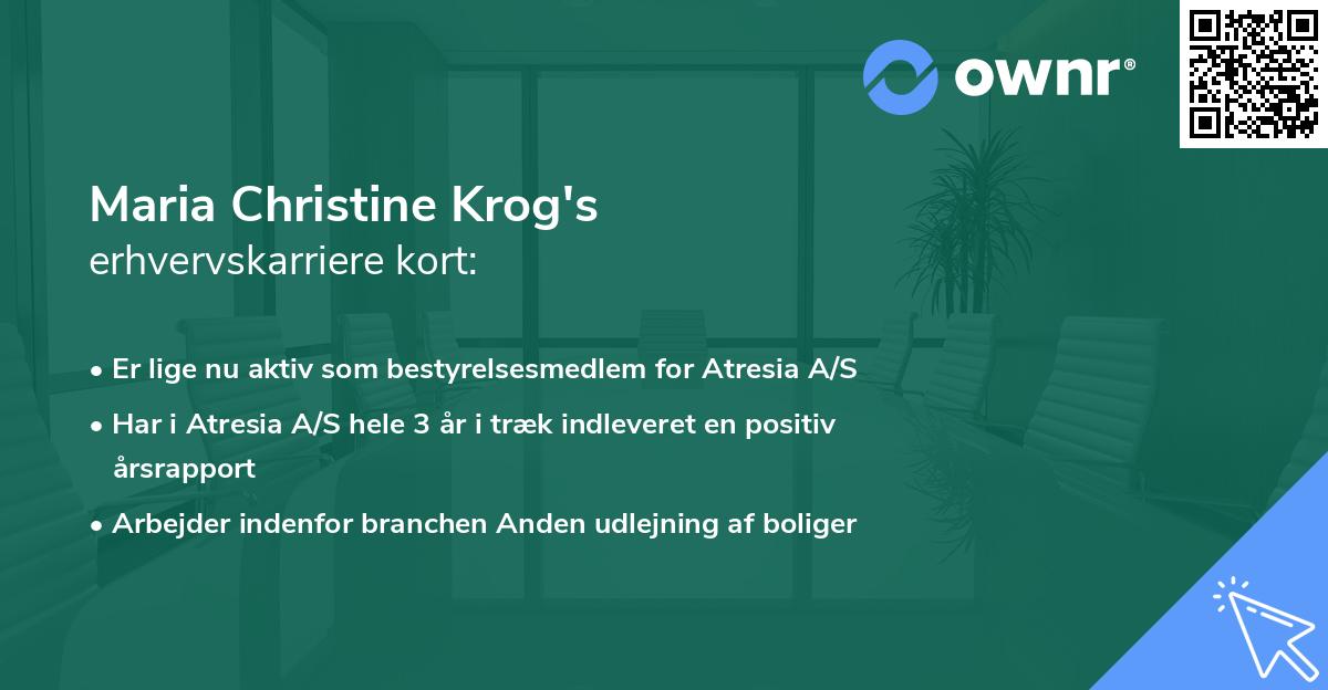 Maria Christine Krog's erhvervskarriere kort