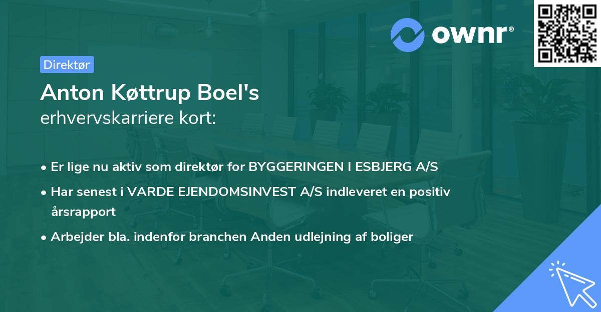 Anton Køttrup Boel's erhvervskarriere kort