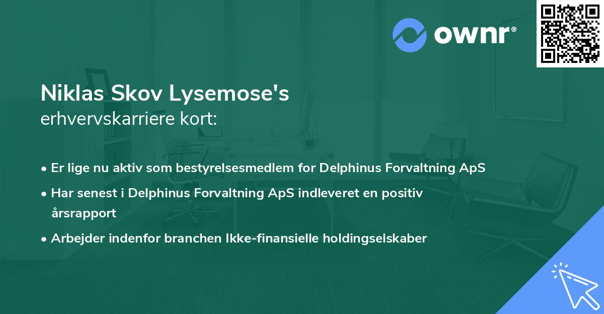 Niklas Skov Lysemose's erhvervskarriere kort