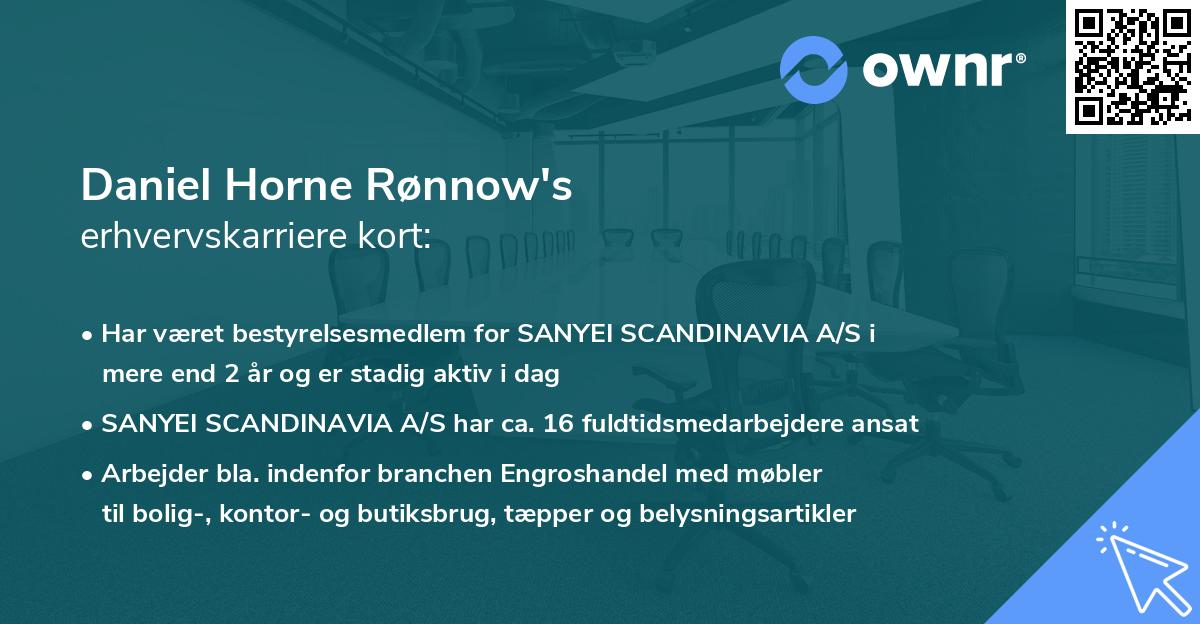 Daniel Horne Rønnow's erhvervskarriere kort