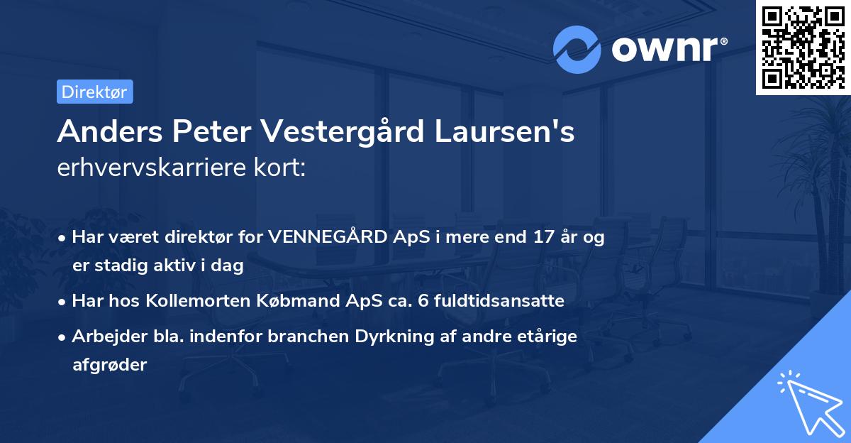 Anders Peter Vestergård Laursen's erhvervskarriere kort