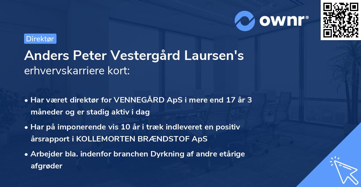 Anders Peter Vestergård Laursen's erhvervskarriere kort