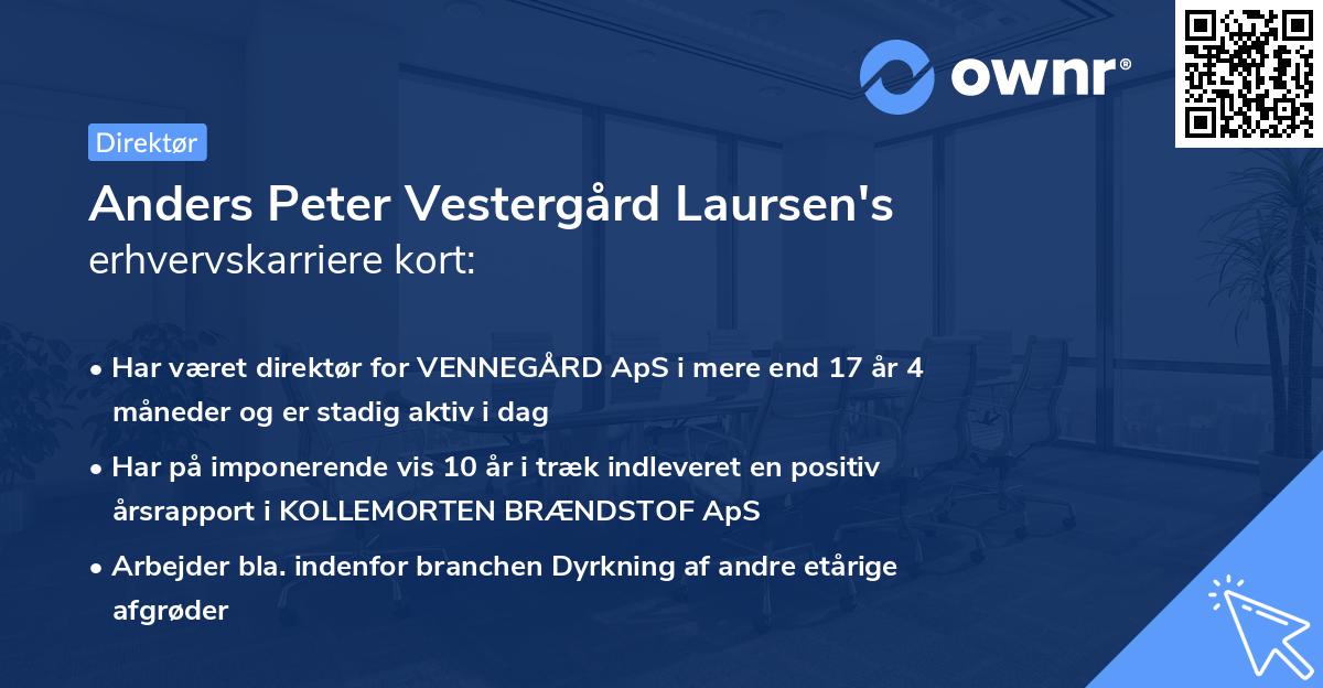 Anders Peter Vestergård Laursen's erhvervskarriere kort