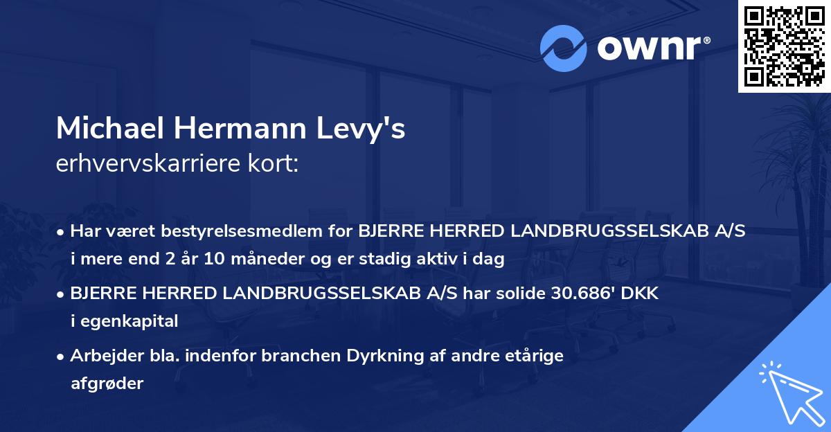 Michael Hermann Levy's erhvervskarriere kort