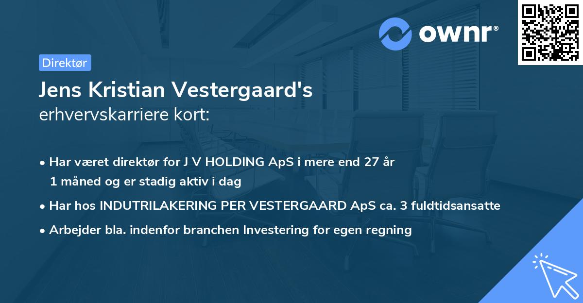 Jens Kristian Vestergaard's erhvervskarriere kort