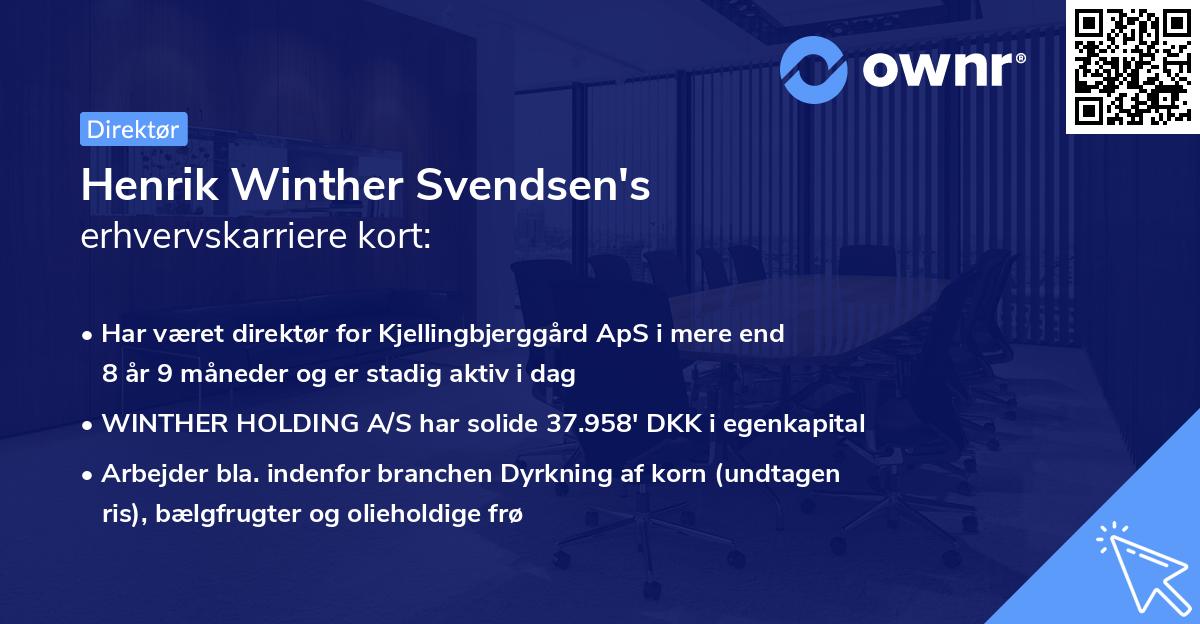 Henrik Winther Svendsen's erhvervskarriere kort