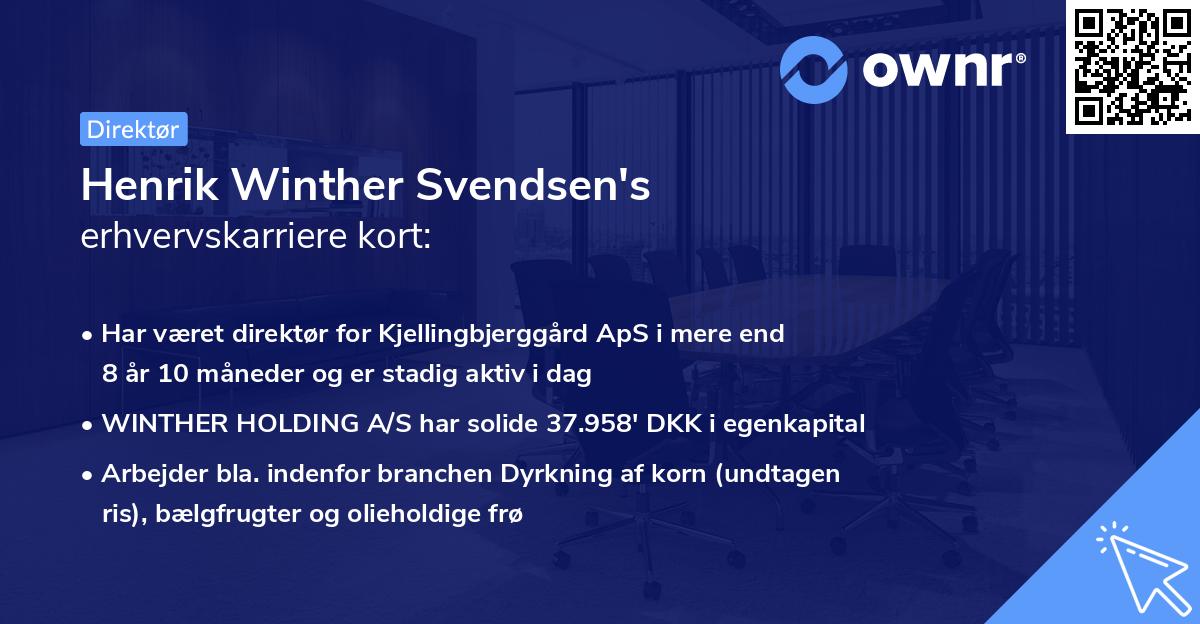 Henrik Winther Svendsen's erhvervskarriere kort