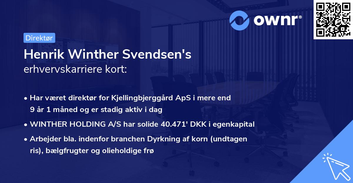 Henrik Winther Svendsen's erhvervskarriere kort