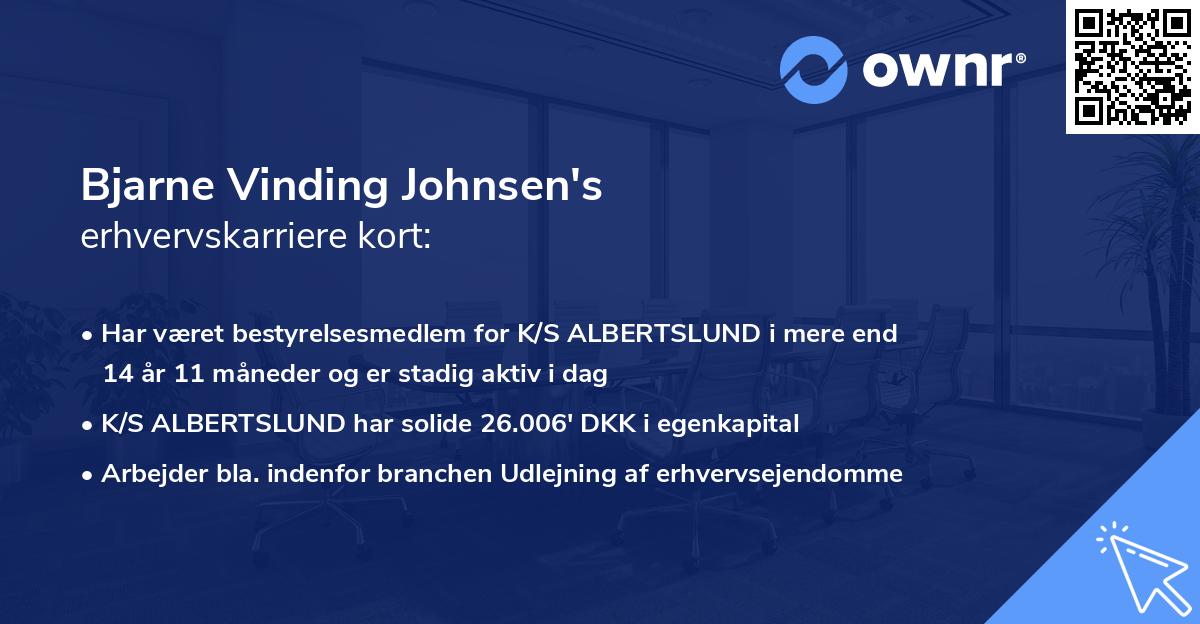 Bjarne Vinding Johnsen's erhvervskarriere kort