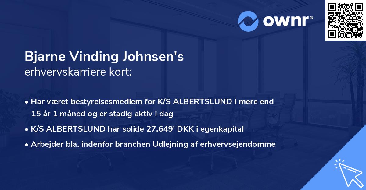 Bjarne Vinding Johnsen's erhvervskarriere kort